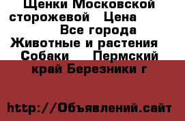 Щенки Московской сторожевой › Цена ­ 35 000 - Все города Животные и растения » Собаки   . Пермский край,Березники г.